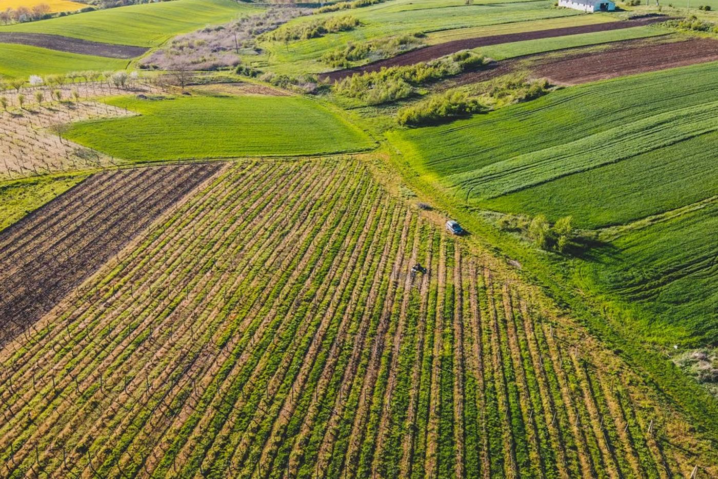 Agroindustria